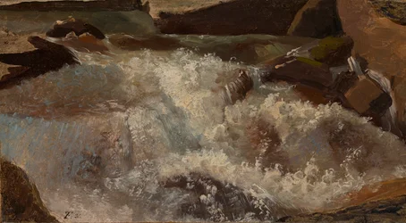 Agua Salvaje. estudio de la naturaleza