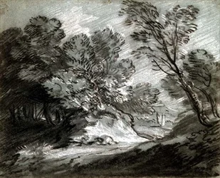 No.0975 Paisaje boscoso con una montaña distante