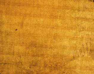 Marca de agua en reverso de la imagen 352792, 1759
