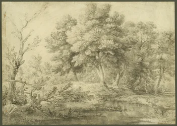 Paisaje boscoso con arroyo