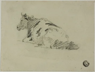 Vaca