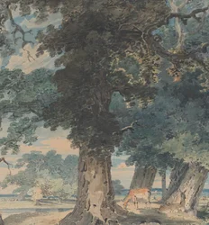 Ciervos en el bosque de Windsor, 1793-94