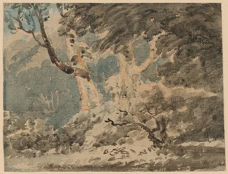 El borde de un bosque