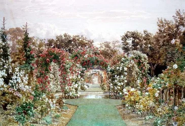 Crimson Rambler en Clandon Park