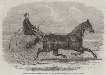 Jackey, el ganador de las últimas Aintree Trotting Stakes en Liverpool