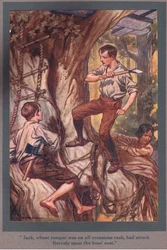 Jack, cuyo temperamento era temerario en todas las ocasiones, había golpeado ferozmente el nido de abejas (litografía en color)