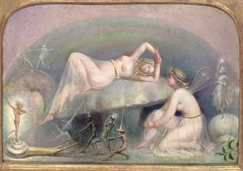 Hada descansando en un Hongo