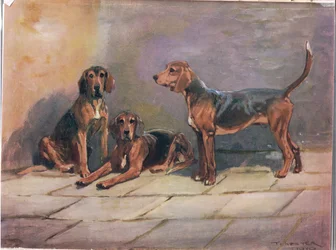 Perros, ilustración de 