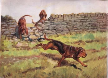 Sobre el muro, ilustración de 