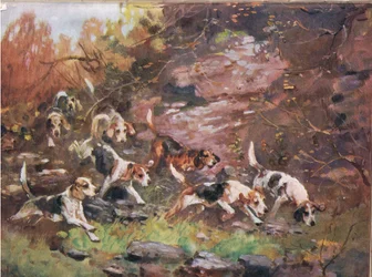 A través del sotobosque, ilustración de 