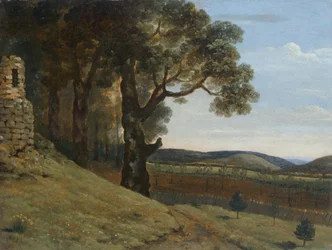 Campo cercano a Pencerrig