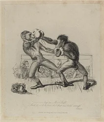 Monkeys Boxing, de Monkey-ana