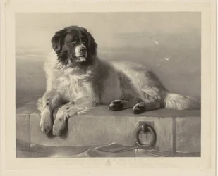 Retrato del perro de rescate Bob, acostado en un muelle Un miembro distinguido de la Sociedad Protectora de Animales (título sobre el objeto)