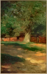 Casa de campo detrás de un gran árbol