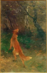 Zorro observando un pájaro