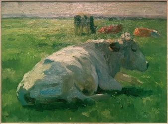 Vaca acostada