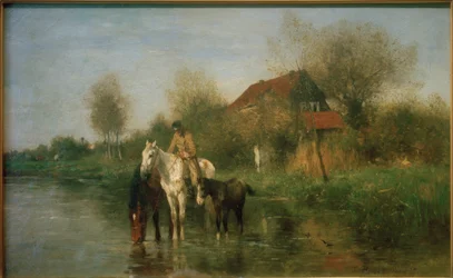 Caballos en el agua