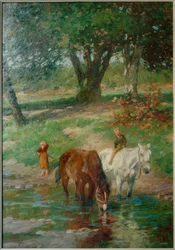 Caballos en el abrevadero