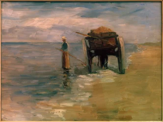 Pescadora de algas