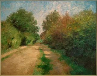 Camino soleado