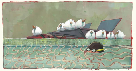 Aves en la Piscina