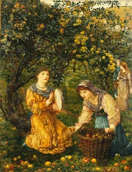 Recolectando manzanas