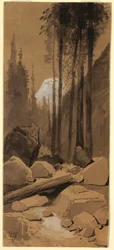 Dibujo, En el valle de Yosemite, 1872