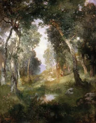 Claro del bosque, Santa Bárbara, 1918