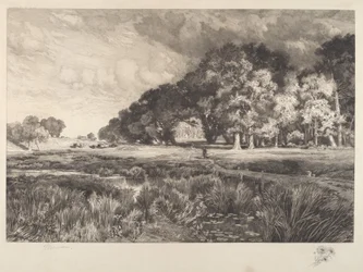Paisaje de Long Island