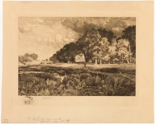 Paisaje de Long Island