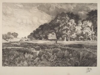 Paisaje de Long Island