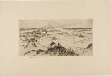 Mirando sobre las dunas de arena - Easthampton