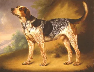 El Sabueso de Richard Strachey 