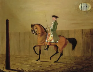 Caballero en un caballo bayo en una escuela de equitación