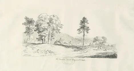Parque de Haywood - Antigua Casa Solariega: dibujo a pluma y tinta