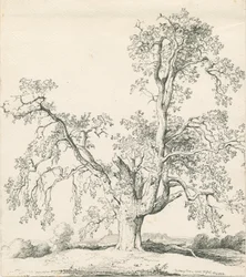 Tutbury - 