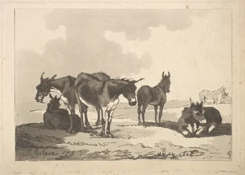 Un grupo de cinco burros, tres de pie, dos acostados