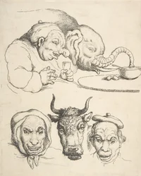 Anatomía comparativa, 1800-25