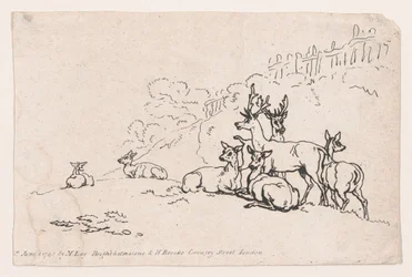 Ciervo de la Placa 3, Outlines of Figures, Landscapes and Cattle...for the Use of Learners, June 1, 1790