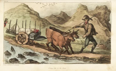 Alférez Johnny Newcome, enfermo de disentería, llevado en carreta de bueyes a Salamanca, España