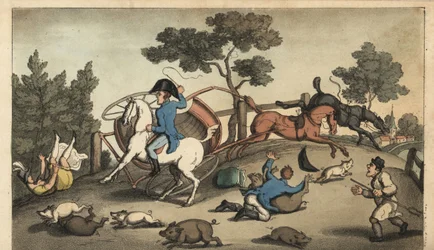 Johnny y una dama irrumpen en un concierto en una manada de cerdos. Ilustración de Thomas Rowlandson de Las aventuras de Johnny Newcombe en la Marina, Simpkin, Londres