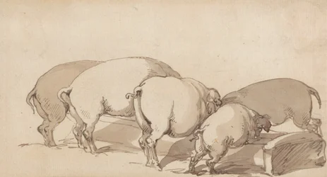 Cerdos en un comedero, c.1790