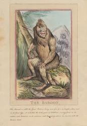 Conjunto de ocho láminas con portada. «Animales extranjeros y autóctonos». 2. El león