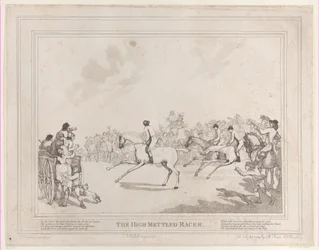 El caballo de carreras de La vida de un caballo de carreras, o El corredor de alta casta, 20 de julio de 1789