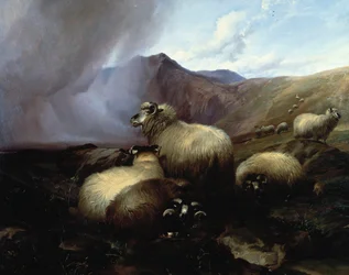 Ovejas de las tierras altas en un paisaje montañoso, 1854