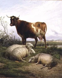 Ovejas y una vaca pastando