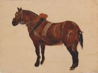 Estudio de un caballo de trabajo