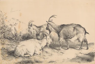 Tres cabras
