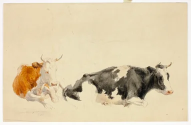 Dos vacas yacentes (anverso); boceto de vaca de pie (reverso)