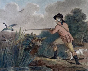 Caza de patos